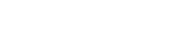 LOGO SAV 2001